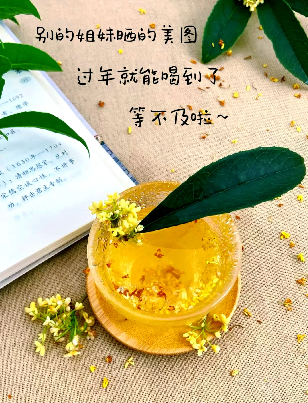 酿酒师工作台上的桂花酒浸泡示范，展示玻璃罐中的酒液、桂花及所需辅料。_1