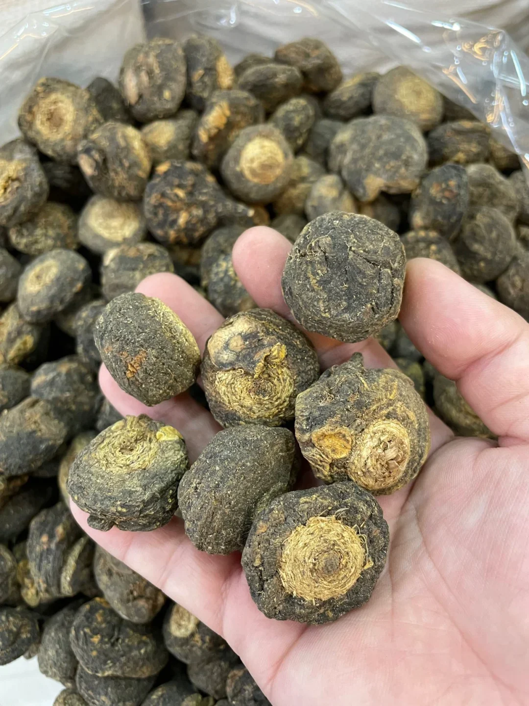 已完成泡制的玛咖养生酒，旁边是干玛咖片和泡酒器具，展示玛咖泡酒的专业流程。_1