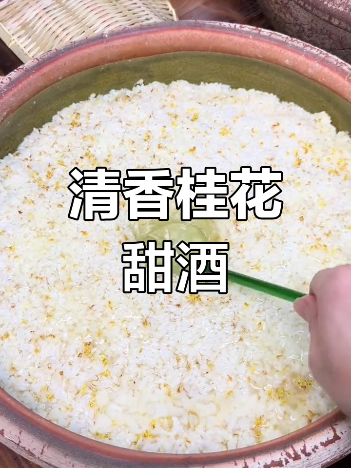 家庭自酿桂花甜酒发酵过程特写：玻璃罐中米粒与桂花共舞，酒液清澈微黄_1