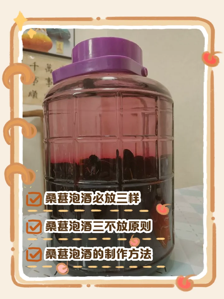 桑葚干泡酒成品展示：透明玻璃罐中深紫红色的酒液与饱满的桑葚干，旁边摆放着原料桑葚干和白酒_1