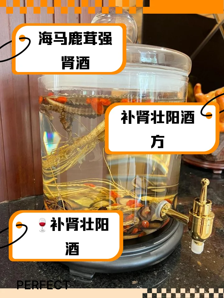 酿酒师正在检查自酿的补肾壮阳养生酒，罐中浸泡着枸杞、肉苁蓉等药材_1