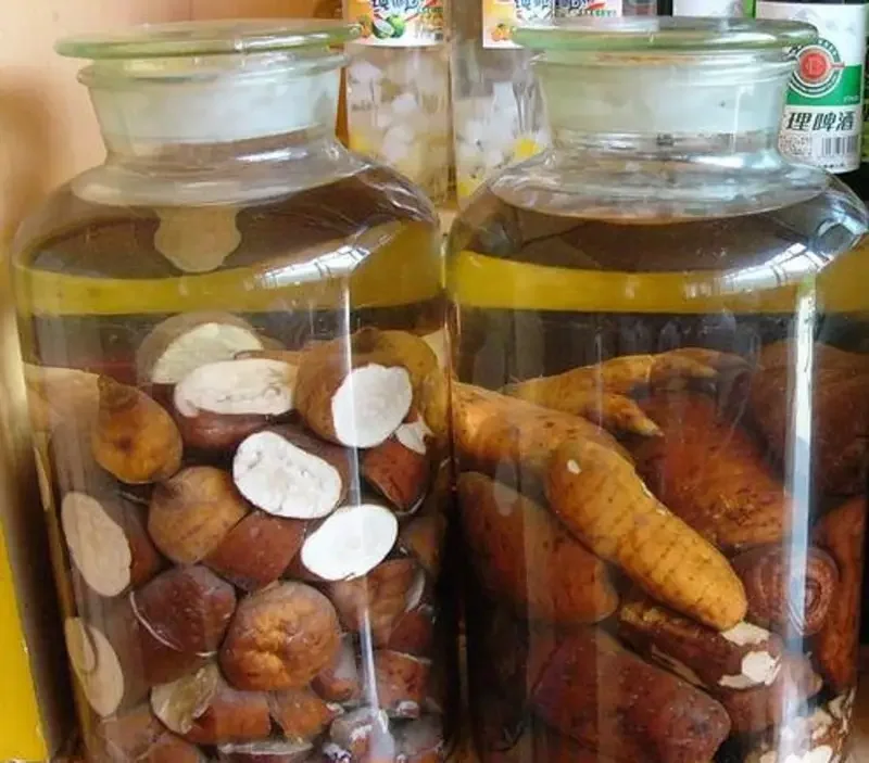 家庭泡制天麻益阴酒的成品展示图：广口玻璃瓶中清澈的金黄色酒液，内含天麻片、枸杞、当归等药材。_1