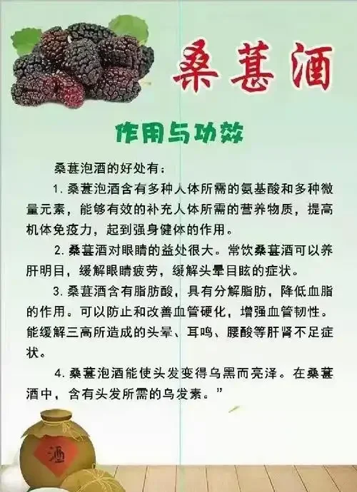 自制桑葚泡酒成品特写，玻璃罐中深紫色液体与桑葚果肉清晰可见_1