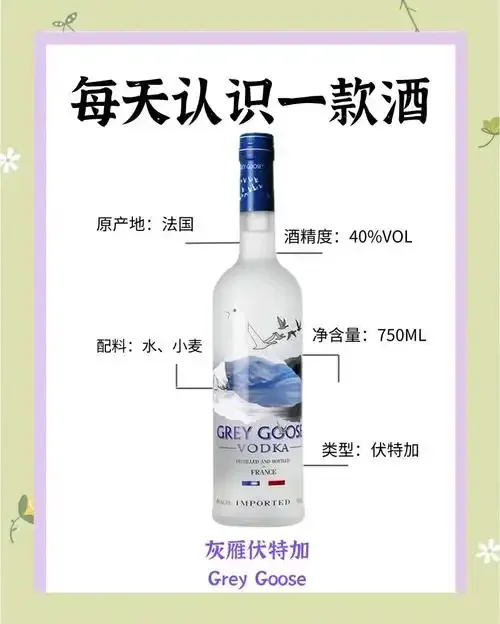 五种不同种类伏特加酒的组合展示：经典纯伏特加、现代风格伏特加、风味伏特加、小麦伏特加和黑麦伏特加。_1