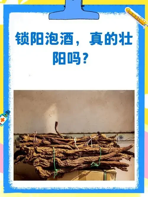 锁阳泡酒成品近景图：琥珀色酒液中的锁阳与枸杞清晰可见_1