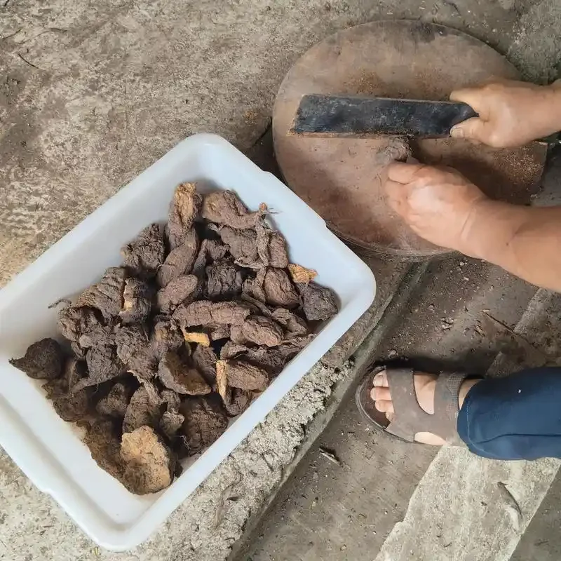 专业酿酒师工作台展示何首乌泡酒过程：玻璃罐中浸泡着切片何首乌的琥珀色酒液，旁边是称重工具和纯粮白酒。_1