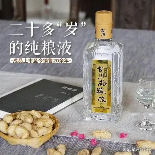 四川传统酿酒工坊内景，展示陶坛、泥窖与蒸馏设备_1