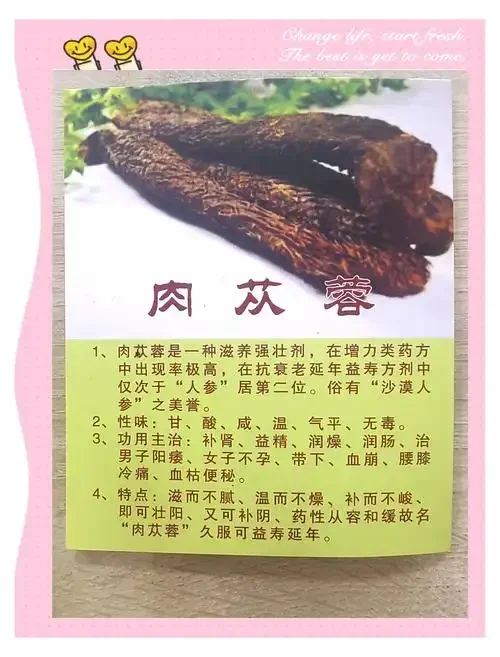 酿酒师正在向陶瓷酒坛中添加酒苁蓉片进行泡制_1