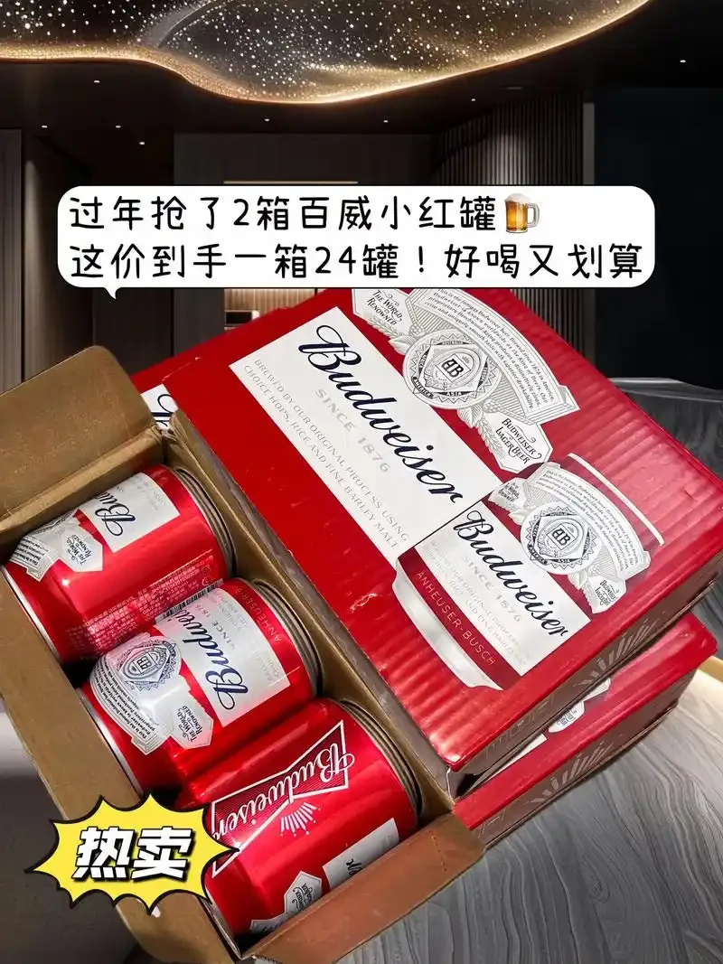 一套基础家庭自酿啤酒设备套装展示，包括发酵桶、比重计、酒瓶等，用于入门级酿造。_1