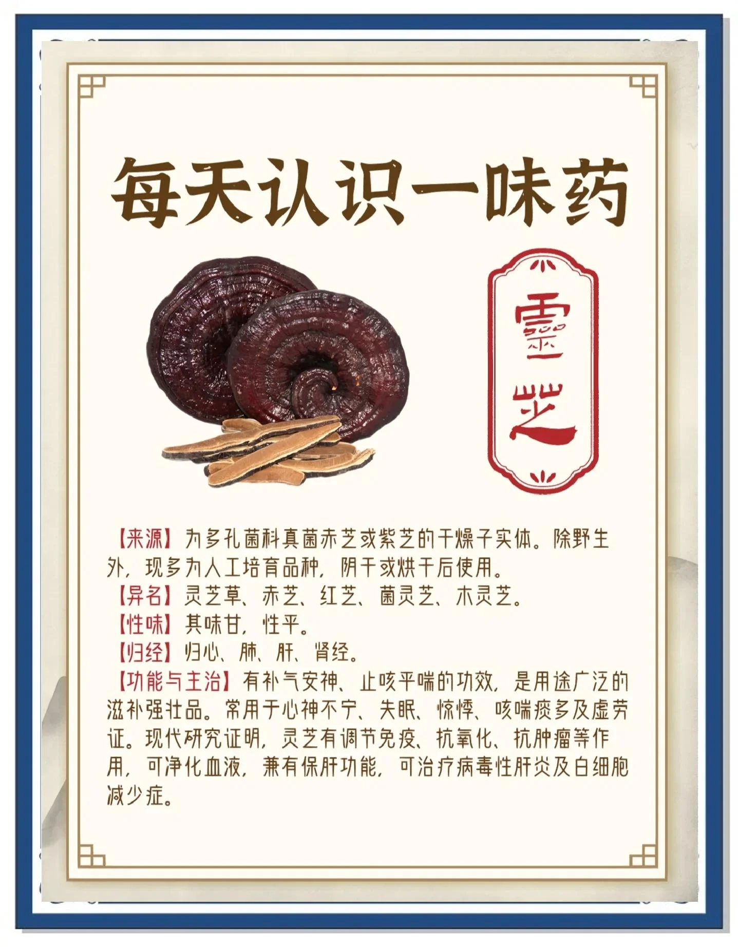 专业酿酒师展示家庭自制灵芝泡酒：广口瓶中浸泡着完整灵芝，酒液呈琥珀色，旁边有灵芝切片和量杯。_1