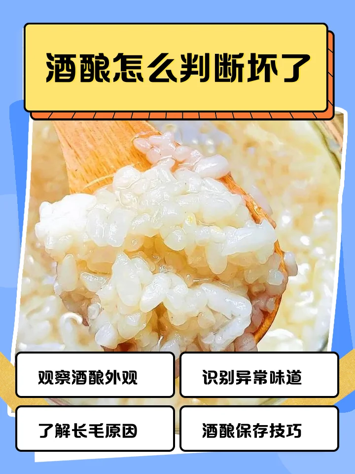 家庭制作米酒时，透明玻璃罐中的米粒状态不佳，旁边放置着甜酒曲和温度计，示意米酒发酵可能遇到的问题及补救所需的工具。_1