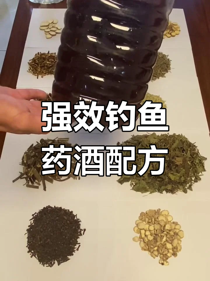 自制冬钓鲫鱼中药酒配方展示：玻璃罐中浸泡着多种中药材的琥珀色药酒，旁边有酒米和钓获的鲫鱼。_1