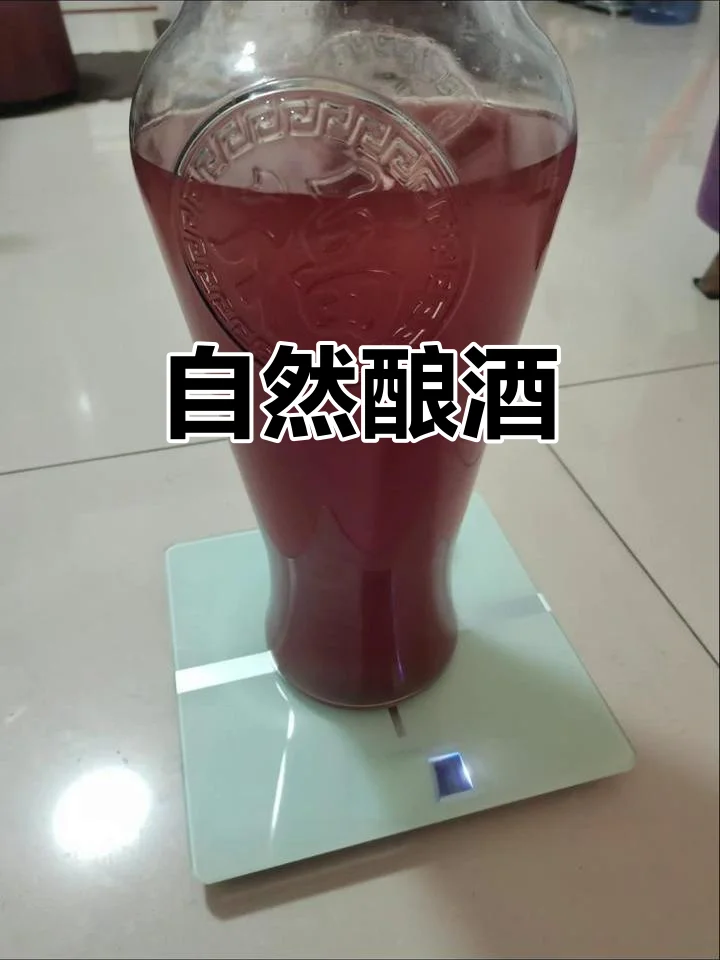 自酿葡萄酒主发酵阶段的特写照片，展示发酵罐内活跃的气泡和葡萄皮帽_1