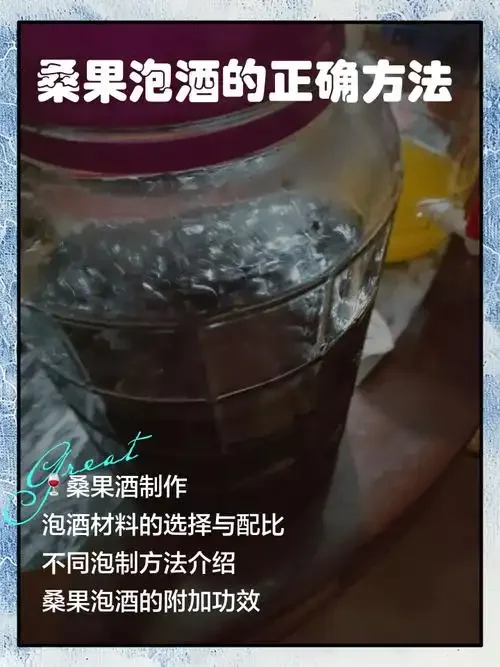 自制桑葚酒成品特写，深红色酒液与饱满桑葚果沉于透明玻璃罐中，体现健康与手工感。_1