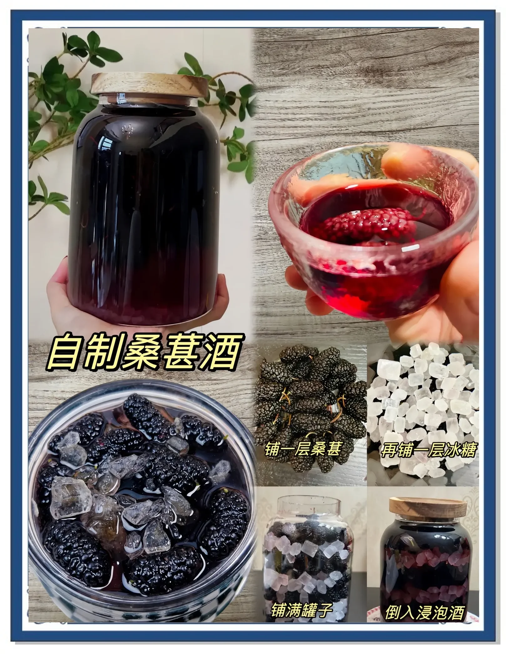 家庭自制桑葚米酒成品图：透明玻璃罐中紫红色桑葚与白色米酒交融，色泽诱人_1