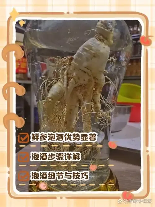 人参石斛泡酒实物展示：透明玻璃罐内，金黄酒液中浸泡着完整人参和石斛，旁边配有红枣枸杞。_1