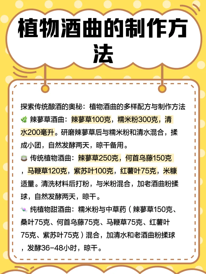 传统手工制作的优质烧酒酒曲特写，表面有丰富的白色菌丝，正在竹簸箕上发酵。_1