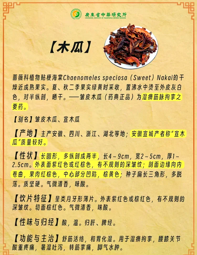 自制宣木瓜泡酒成品展示：透明玻璃罐中金黄色酒液与木瓜片_1