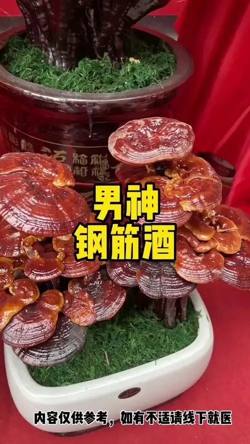 传统补肾壮阳药酒泡制材料展示：玻璃酒坛内浸泡着鹿茸、枸杞、肉苁蓉等中药材，酒液清澈琥珀色。_1