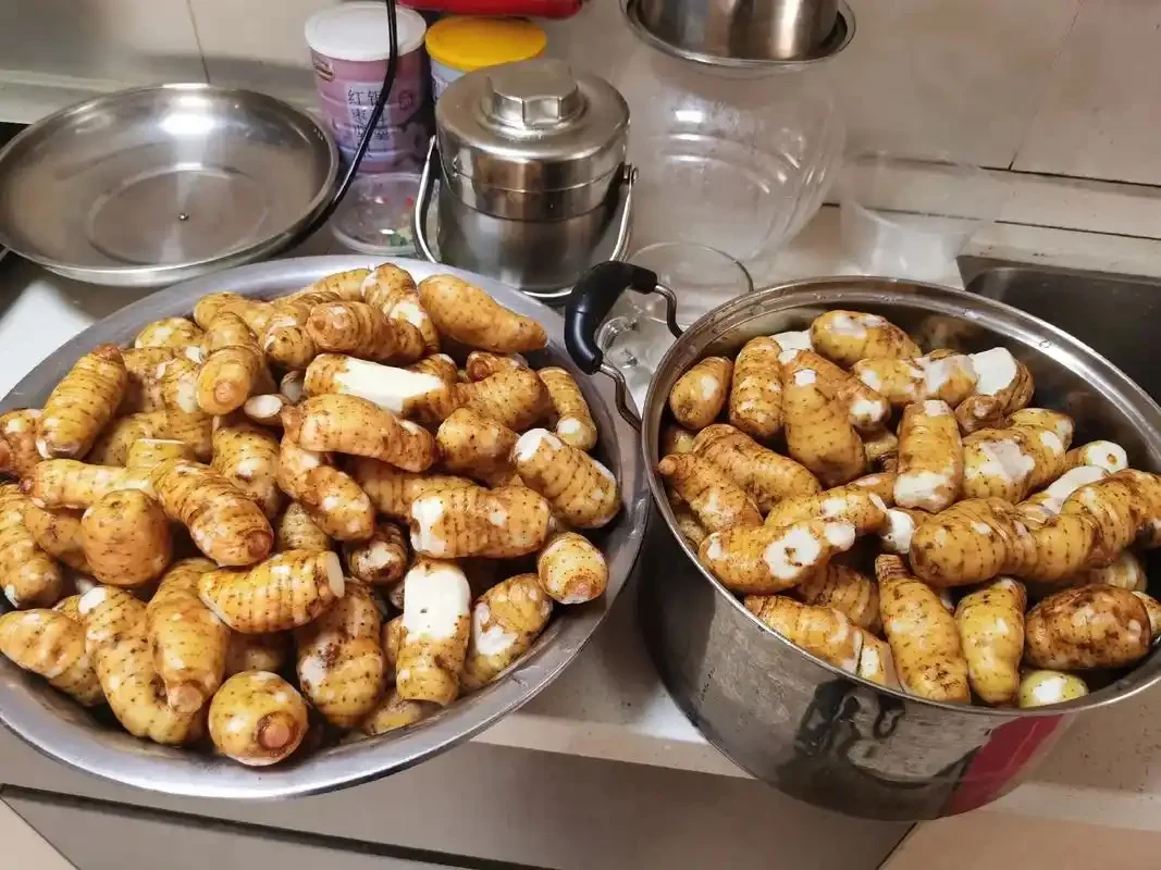 一个装有金黄色酒液的玻璃罐，里面浸泡着三七和天麻，背景是古朴的木桌和散落的药材，展示家庭泡制三七天麻酒的过程。_1