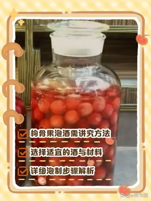专业酿酒师展示枸杞与白酒的黄金比例泡酒实例_1