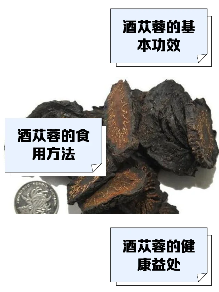 肉苁蓉、枸杞和红枣浸泡在橙黄色黄酒中的特写照片，展示了家庭泡制药酒的过程。_1