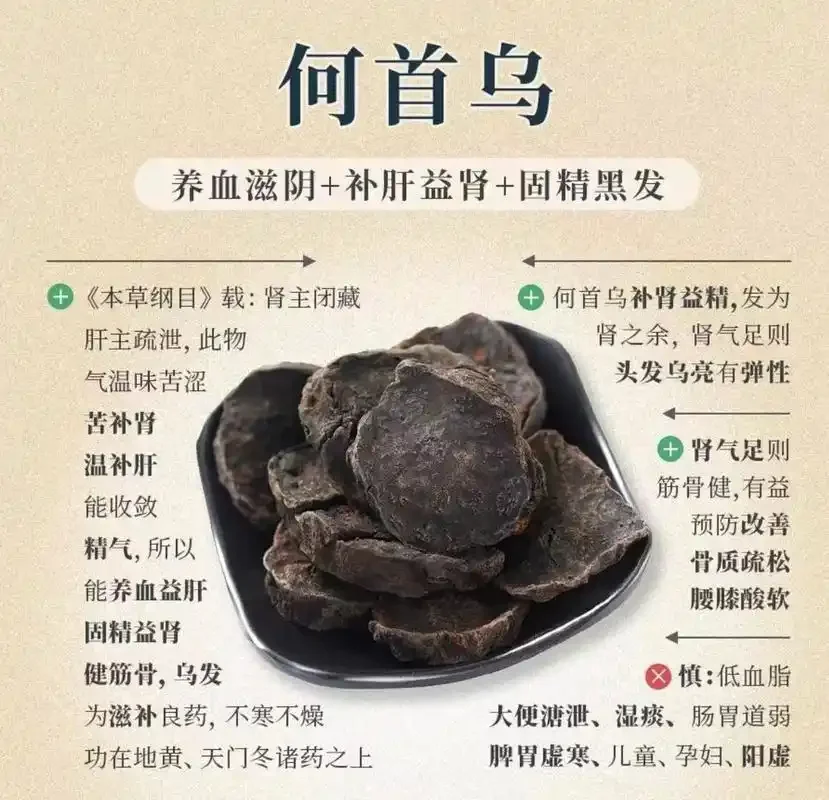 首乌补肾酒酿造过程展示：玻璃罐中琥珀色药酒与药材，旁有酒精计和酿酒笔记_1