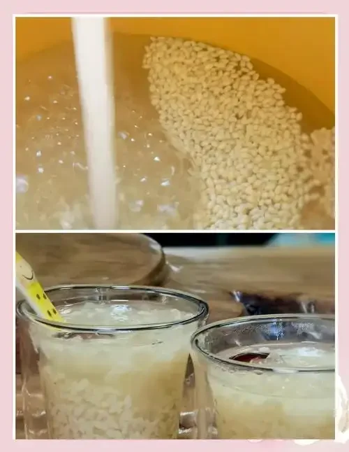 自制米酒酿的正确保存对比图：新鲜酒酿与密封后待冷藏的酒酿。_1