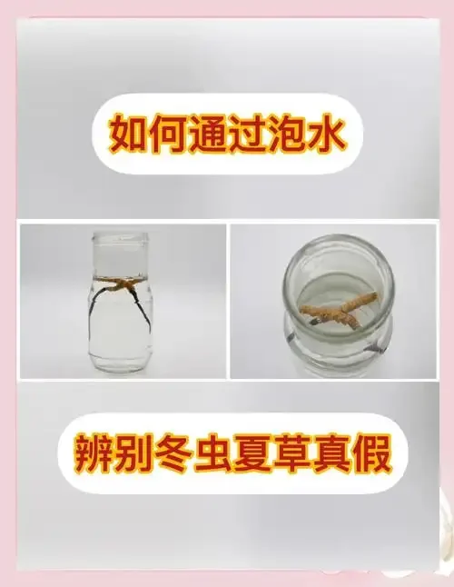 家庭自酿冬虫夏草酒实拍：透明玻璃瓶中浸泡着冬虫夏草和枸杞，酒色呈琥珀色，旁边摆放着药材和白酒。_1