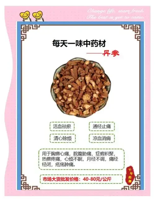 新鲜丹参药材与丹参浸泡酒对比图，展示其作为药材和酿酒原料的状态。_1