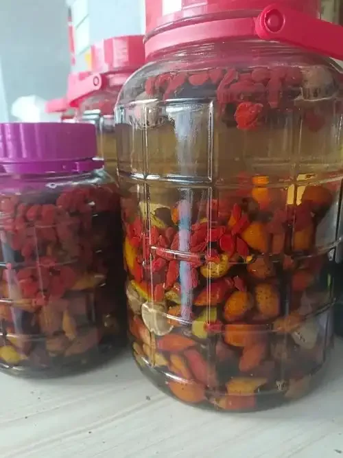 金樱子与多种中药材正在玻璃瓶中浸泡，形成琥珀色药酒的静物特写_1