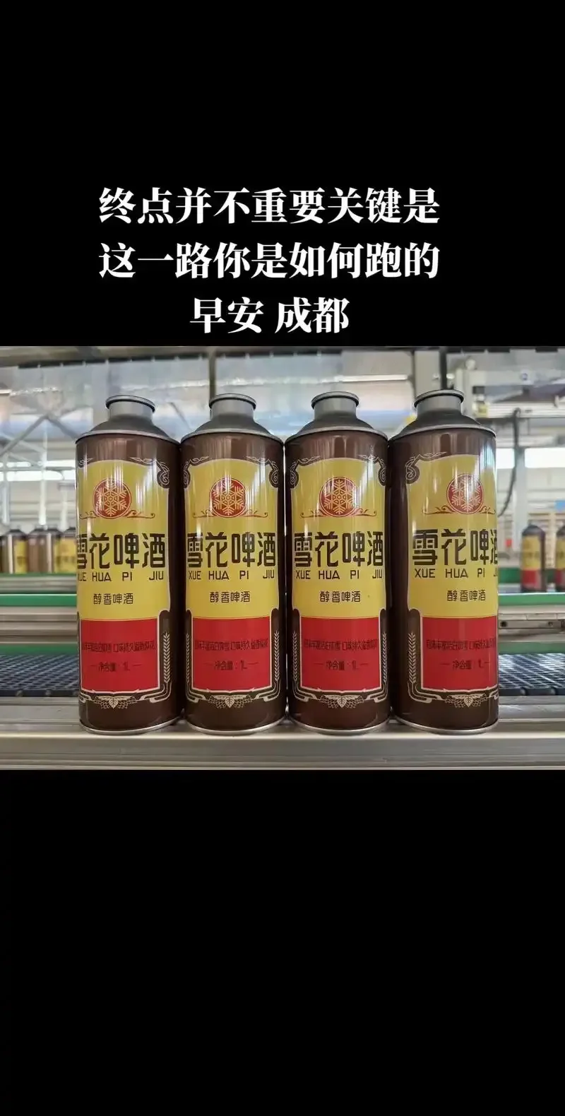 家庭精酿啤酒酿造工具和原料展示，包括发酵罐、麦芽、啤酒花、酵母和测量工具。_1