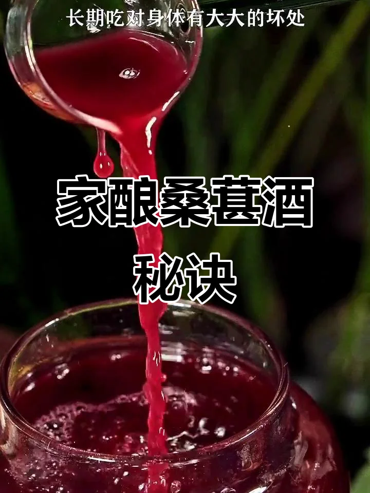 桑葚酒家庭自酿过程展示：玻璃罐中紫红色发酵液，旁边有新鲜桑葚、白糖和工具_1