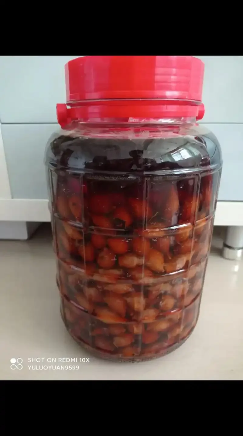 酿酒师正在处理新鲜金樱子准备泡酒，展示果实与泡酒罐的特写_1