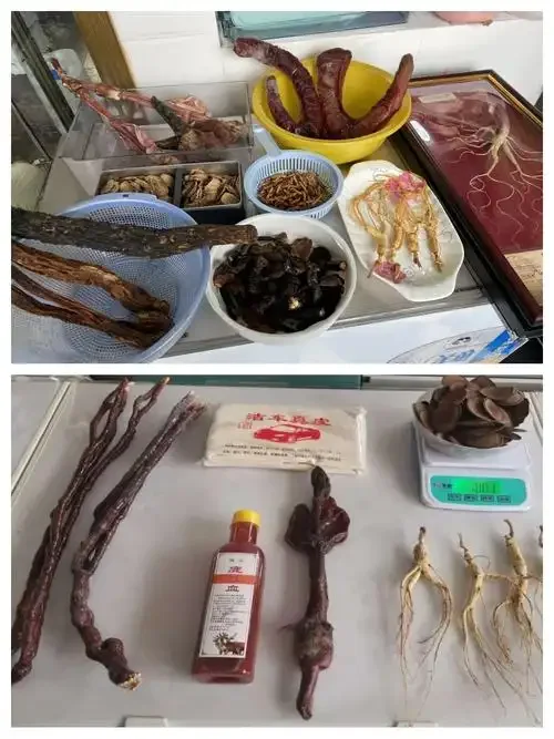 一瓶正在浸泡的鹿茸药酒特写，玻璃瓶中清晰可见鹿茸片、人参、枸杞等中药材，酒体呈琥珀色，背景为木质桌面与散落的药材，体现传统养生泡酒的匠心。_1