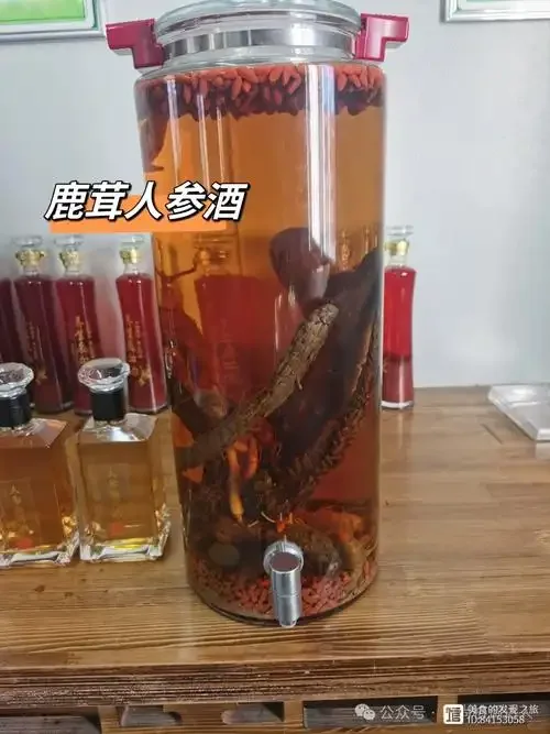 正在浸泡中的鹿茸滋补酒特写，展示酒液色泽与药材状态_1