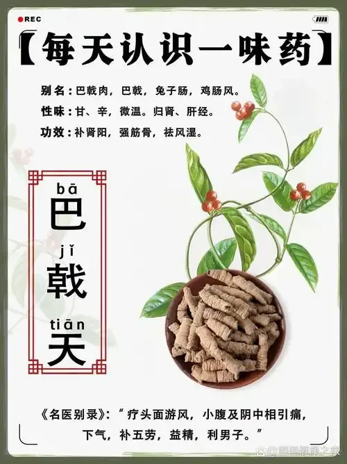 一瓶正在浸泡中的自制巴戟酒特写，琥珀色酒液中可见饱满的巴戟天根茎，置于木桌上，展现传统家庭酿造的质朴与匠心。_1