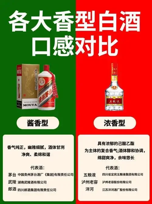 浓香型泥窖与酱香型石窖的酿造环境对比示意图，直观展示两大香型发酵核心载体的差异。_1
