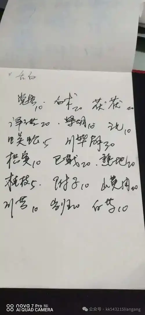 传统药酒浸泡过程展示：玻璃罐中琥珀色药酒与清晰可见的中药材_1