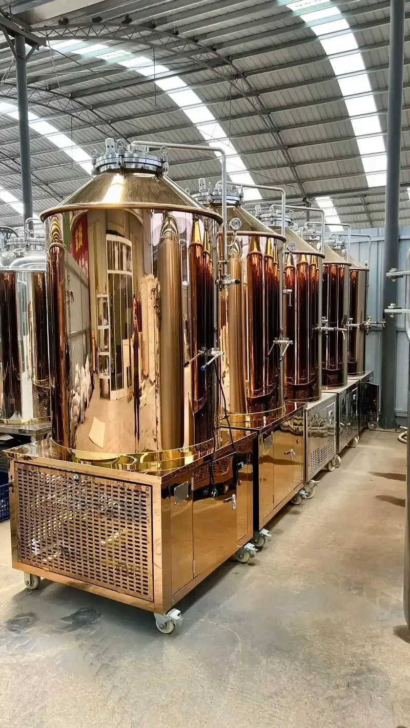 酿酒师在专业展厅内仔细检查一套不锈钢精酿啤酒酿造设备，评估其焊接工艺和阀门质量_1