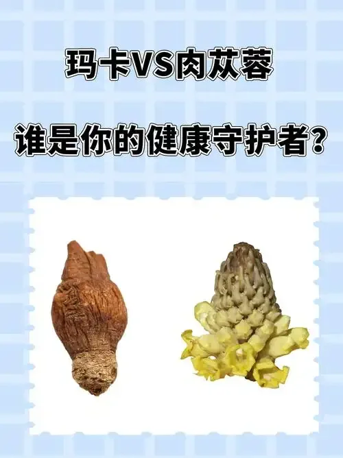 家庭自制的玛卡灵芝泡酒展示，玻璃罐中金黄的酒液与褐色灵芝、黄色玛卡切片清晰可见_1