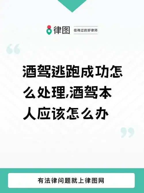 韩国城市街道夜景下，韩国警察正在对疑似中国籍驾驶员进行酒驾检查的严肃场景_1