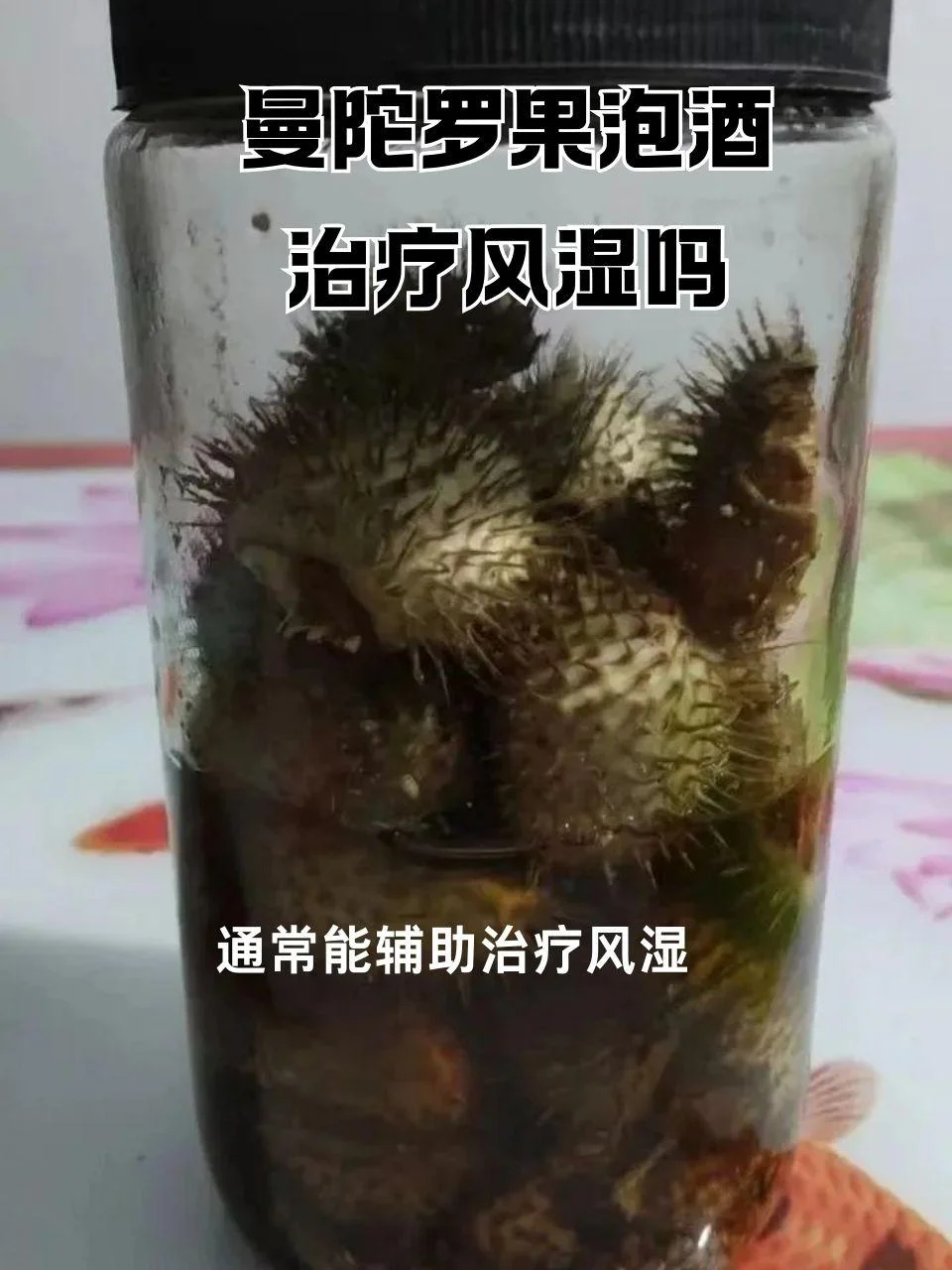 自制火焰瓜泡酒特写：玻璃瓶中浸泡着橙红色的火焰瓜切片和中药材，酒液呈现诱人的琥珀色泽。_1
