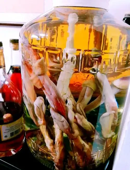 处理干净的鲜鹿鞭、切片刀、高度白酒及泡酒坛子，展示鹿鞭泡酒前的专业处理步骤_1