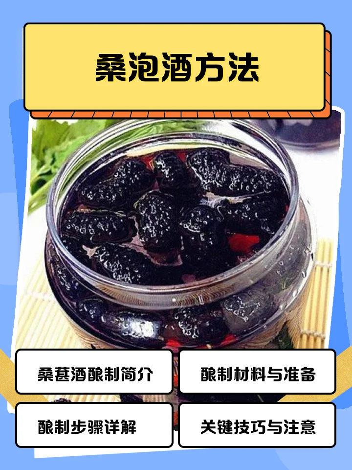 一罐在木桌上泡制好的桑葚酒特写，酒液呈深紫色，底部可见饱满的桑葚干，旁边摆放着原料示意。_1