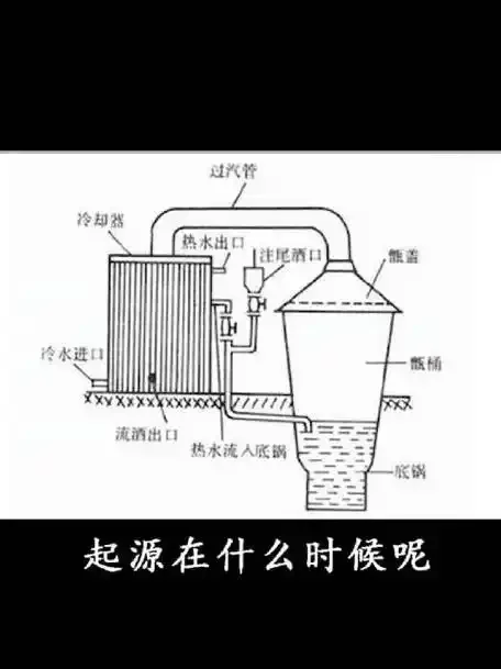 传统甑桶蒸馏器工作原理剖面示意图，展示酒精蒸汽从发酵醪中分离、上升、冷凝成酒的全过程_1