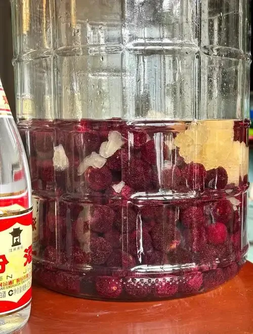 家庭自酿杨梅酒泡制过程展示：透明罐中红润杨梅浸泡在白酒里，旁边有冰糖。_1