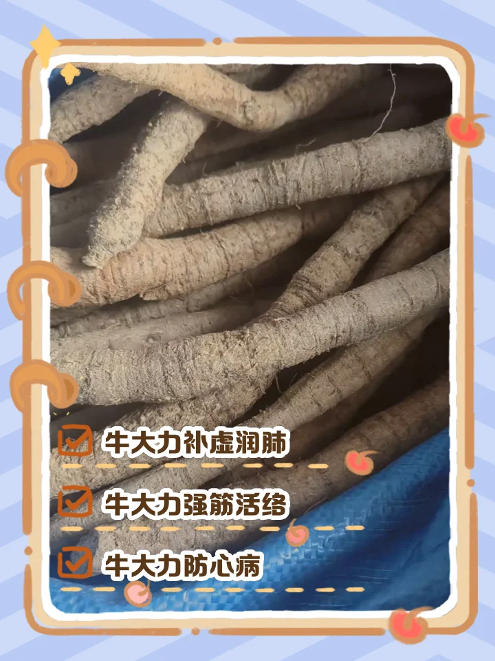 牛大力泡酒成品特写：玻璃罐中琥珀色酒液与牛大力切片、红枣、枸杞清晰可见_1