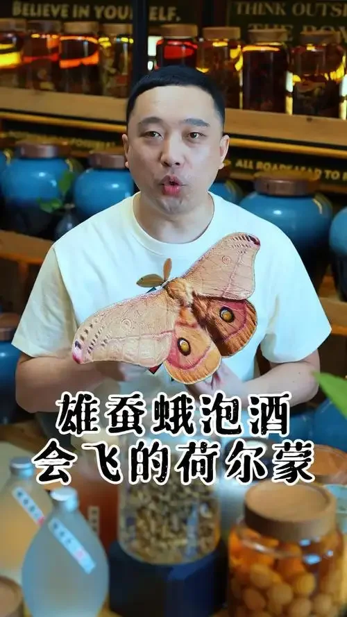 雄蚕蛾与海马在透明玻璃罐中泡酒的详细过程展示图_1