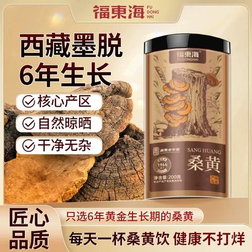 桑黄灵芝泡酒药材搭配示例图：玻璃瓶中泡着桑黄、灵芝、枸杞、红枣等多种药材，酒液清澈呈琥珀色。_1